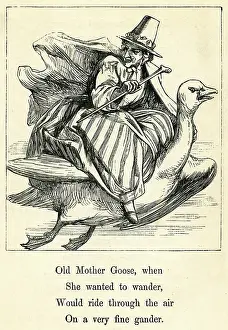 Gander: Mother Goose