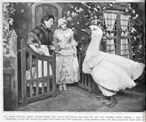 Pantomimes: Mother Goose Pantomime