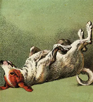 Hubbard: MOTHER HUBBARD/DOG DEAD
