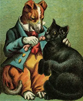 Hubbard: MOTHER HUBBARD/FEED CAT