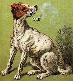 Hubbard: MOTHER HUBBARD/SMOKING