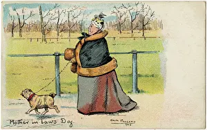 Strides: The Mother-in-Law's dog