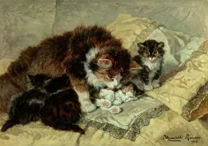 Quatre: A Mother and her four kittens