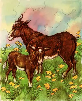 Barnyard: Mother Mule and Child