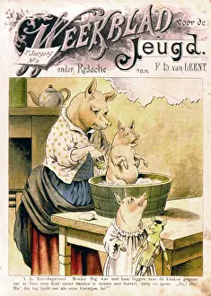 Piglets: Mother pig in kitchen with two piglets