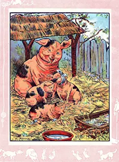 Consoling: Mother pig and her piglets