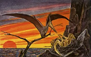 Spreads: Mother Pterodactyl