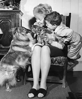 Flip: Mother and son with pet dog and kitten