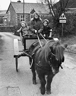 Mother taking children to school in pony and trap, Cornwall