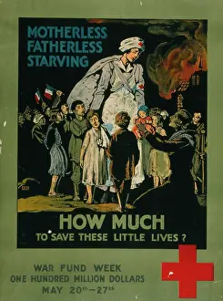 Dollars: Motherless, fatherless, starving - How much to save these li