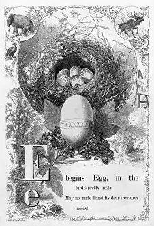 Eggcup: The Mother's Picture Alphabet -- E