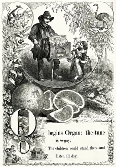 Grinders: The Mother's Picture Alphabet -- O