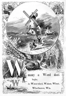 Walnuts: The Mother's Picture Alphabet -- W