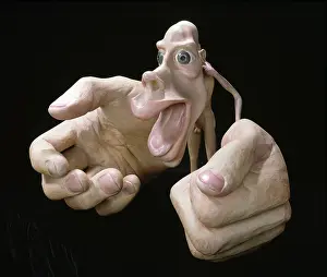 Nerve: Motor homunculus
