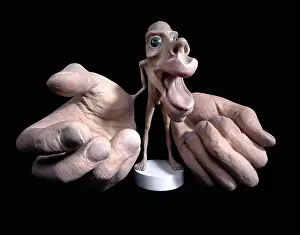 Homunculus: Motor homunculus