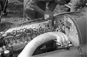 Alfetta: Motor racing in the 1950s