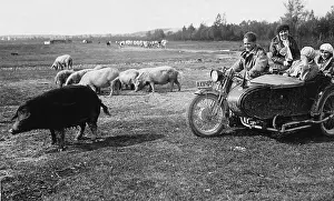 Stopped: Motorcycle trip to the Puszta, 1928