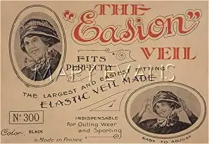 Ruining: MOTORING VEIL
