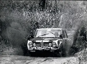 Giulia: Motorsport