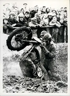 Seldom: Motorsport