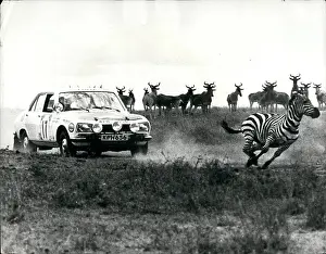 Lofty: Motorsport