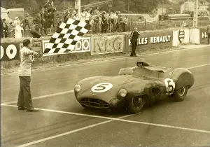 Shelby: Motorsport