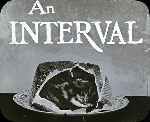 Mottos: Mottos - Cat in Cake Interval