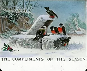 Mottos: Mottos - Compliments of the season