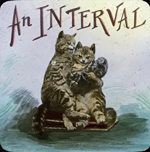 Mottos: Mottos - An Interval