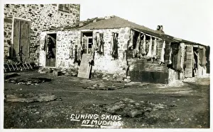 Lemnos: Moudros, Lemnos, Greece - Curing Skins