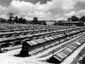 Brickmaking: MOULDED CLAY STACKS