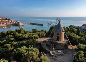 Olive: Moulin de la Cortina, Collioure, Pyrenees-Orientales, France