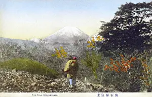 Honshu: Mount Fuji, Japan - from Sengokubara