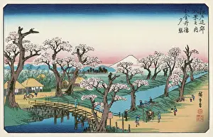 Fujiyama: MOUNT FUJI IN SPRINGTIME