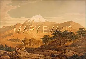 Clumps: MOUNT LEBANON