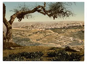 Scopus: From Mount Scopus, Jerusalem, Holy Land