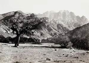 Wider: Mount Serbal from the Wadee Feyran, Wadi Feiran