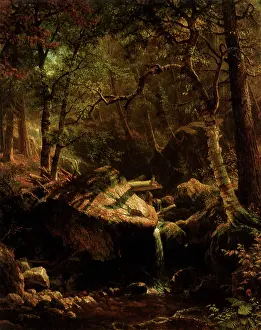 Streams: The Mountain Brook