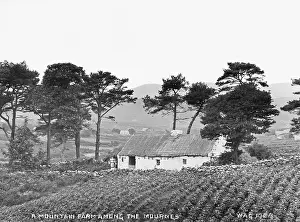 Mournes: A Mountain Farm in the Mournes