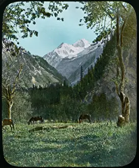 Snow Capped: Mountain - landscape - Kashmir - India