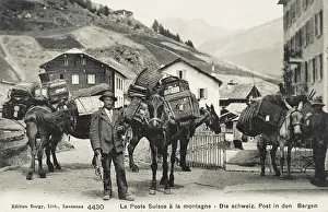 Panniers: Mountain Postal Service, Switzerland