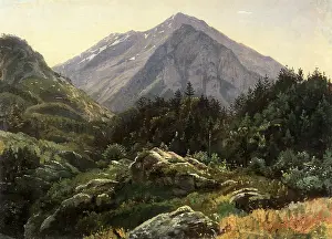 Thicket: Mountain, Scenery, Switzerland