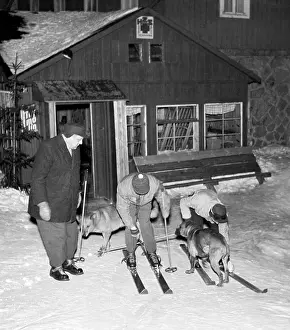 Krkonose: Mountain service - search