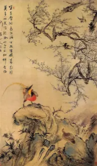 Plum: Mountain Sparrow