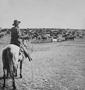 Lcgr2001: Mounted cowboy holds lasso on the open range