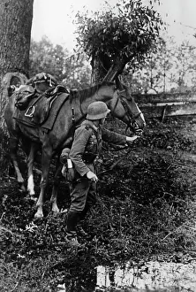 Kugelken: Mounted division of the Wehrmacht on the Eastern Front, 1941