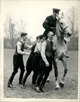 Accustomed: Mounted Met Police in training for Coronation, Imber Court