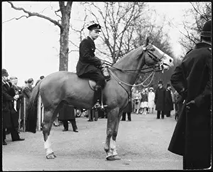 Controlling: MOUNTED POLICEMAN
