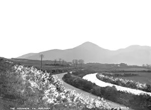 Murlough: The Mournes Fr. Murlough