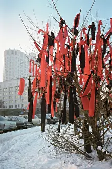 Ribbons: Mourning tree near Russian White House in Moscow, 1995